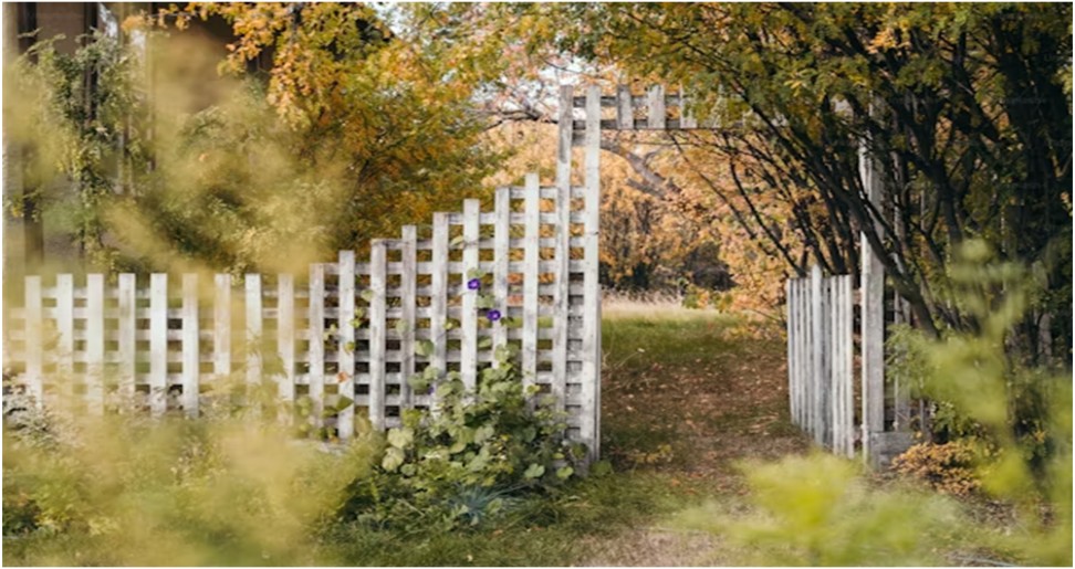 How to Choose a Suitable Fence for Your Property